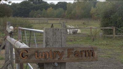 Cuntry Farm